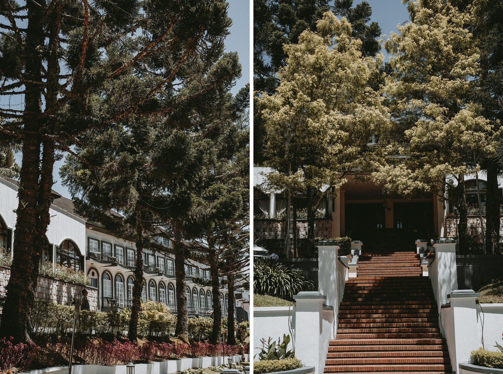 Cameron Highlands Wedding